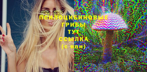 Альфа ПВП Алзамай