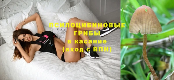 Альфа ПВП Алзамай