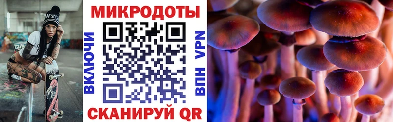 Псилоцибиновые грибы Magic Shrooms  Узловая 