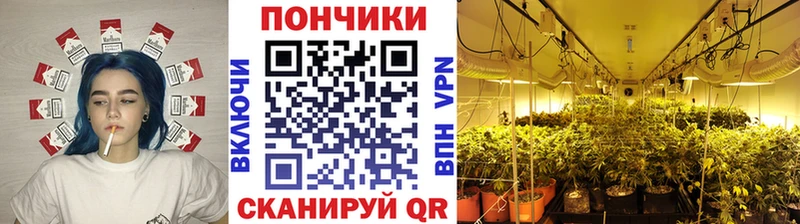 Марихуана планчик  где найти наркотики  Узловая 