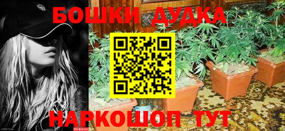 Бошки Шишки ГИДРОПОН Узловая